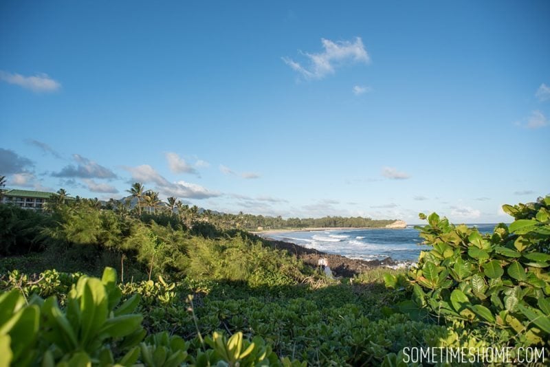 Koloa Heritage Trail photos on the south end of Kauai, Hawaii. Image of the trail on Sometimes Home travel blog, by Mikkel Paige.