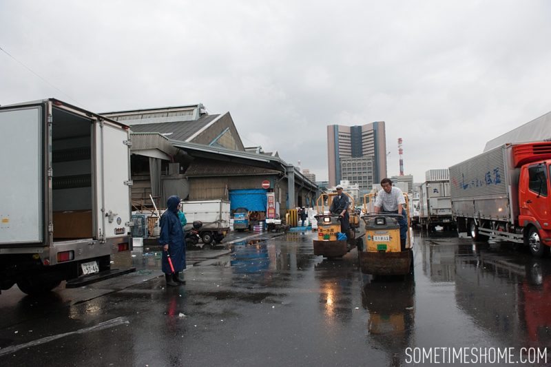 Early morning experience and photos at Tsukiji Fish Market in Tokyo, Japan by Sometimes Home Travel Blog. The working market is almost done for the day at 6:00am.