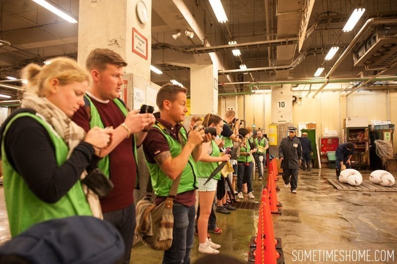 Experience and photos at Tsukiji Fish Market in Tokyo, Japan by Sometimes Home Travel Blog. The tour looks on and takes pictures of the auctioneer.