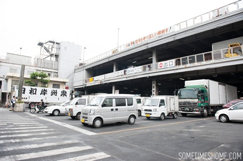 Experience and photos at Tsukiji Fish Market in Tokyo, Japan by Sometimes Home Travel Blog. Picture of trucks lined up to do business.