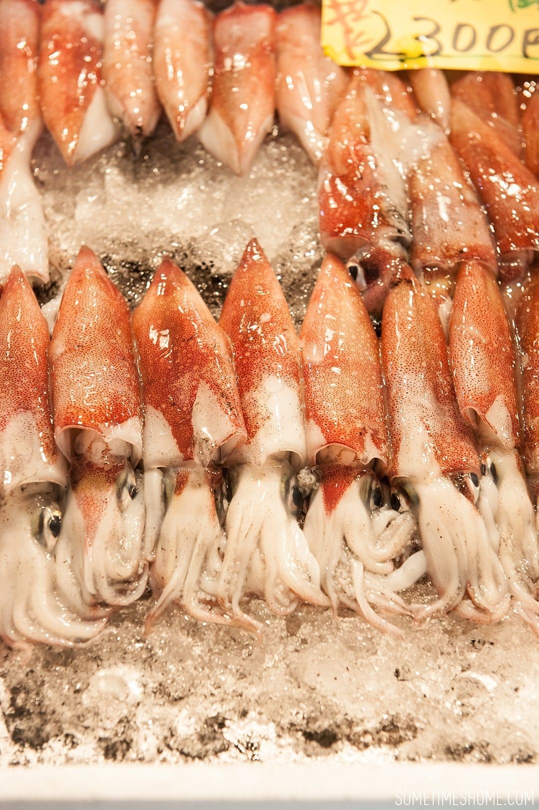 Experience and photos at Tsukiji Fish Market in Tokyo, Japan by Sometimes Home Travel Blog. Picture of the squid for sale.