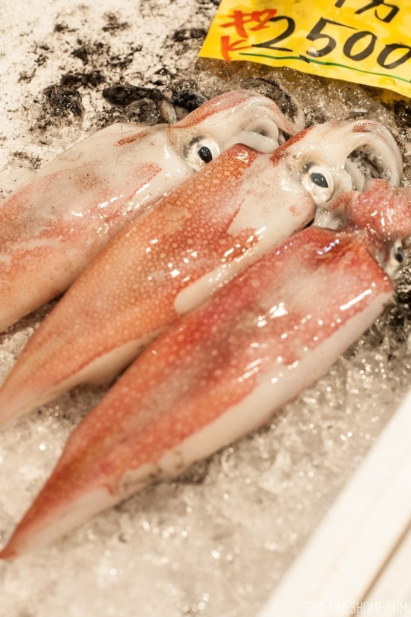 Experience and photos at Tsukiji Fish Market in Tokyo, Japan by Sometimes Home Travel Blog. Picture of the squid for sale.