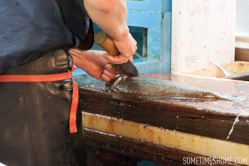 Experience and photos at Tsukiji Fish Market in Tokyo, Japan by Sometimes Home Travel Blog. Picture of a vendor cutting a fish.