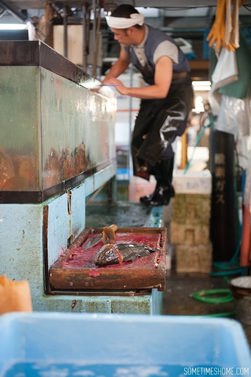 Experience and photos at Tsukiji Fish Market in Tokyo, Japan by Sometimes Home Travel Blog. Picture of vendors stands in the market.