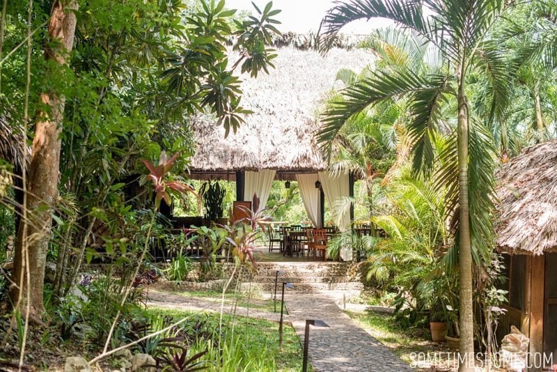 Table Rock Jungle Lodge Belize photos from Sometimes Home travel blog. Sustainable resort in San Ignacio.