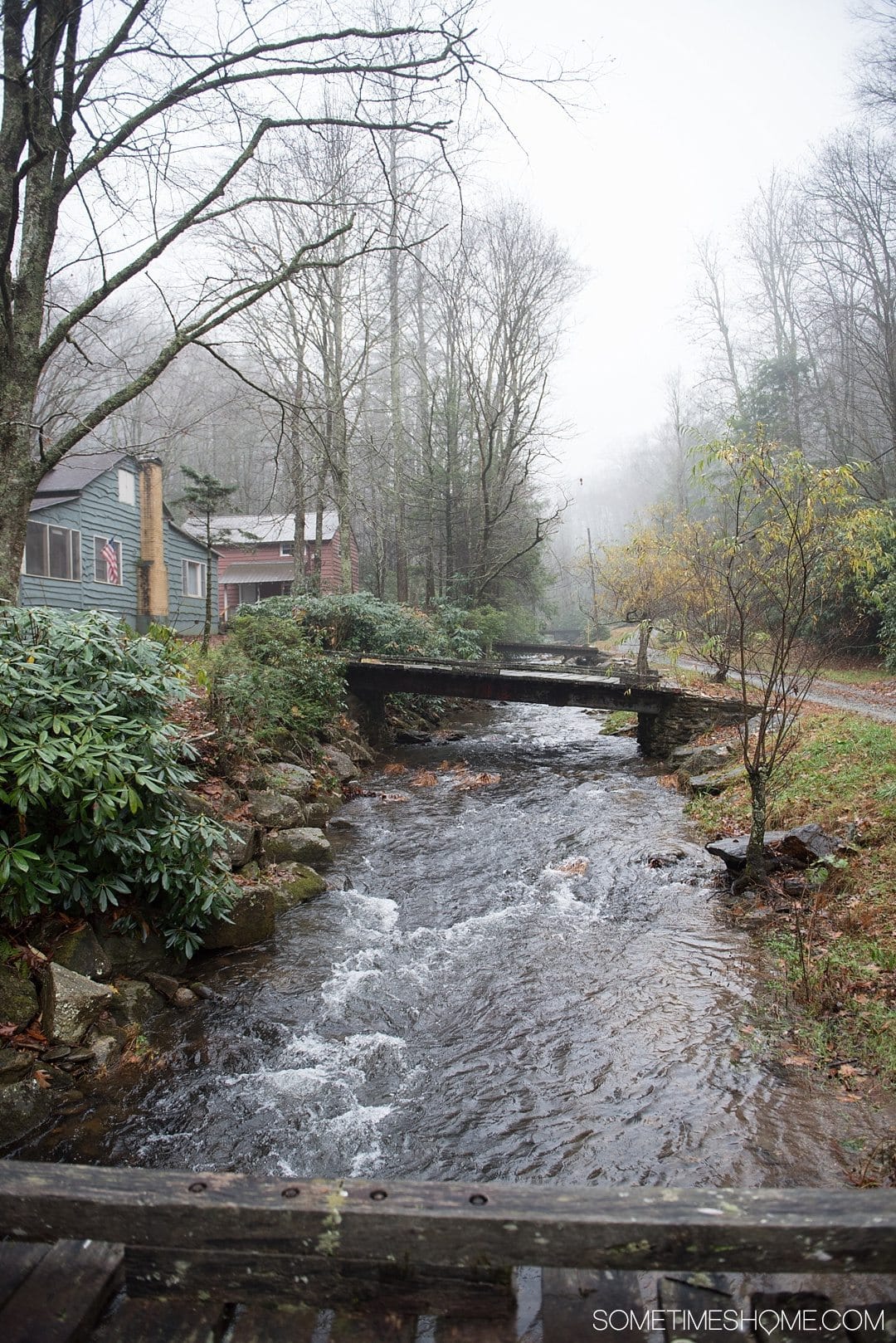 What to do on a rainy day in Boone, NC. Photos and activities on Sometimes Home travel blog. Picture on a photowalk in a suburban Boone neighborhood.