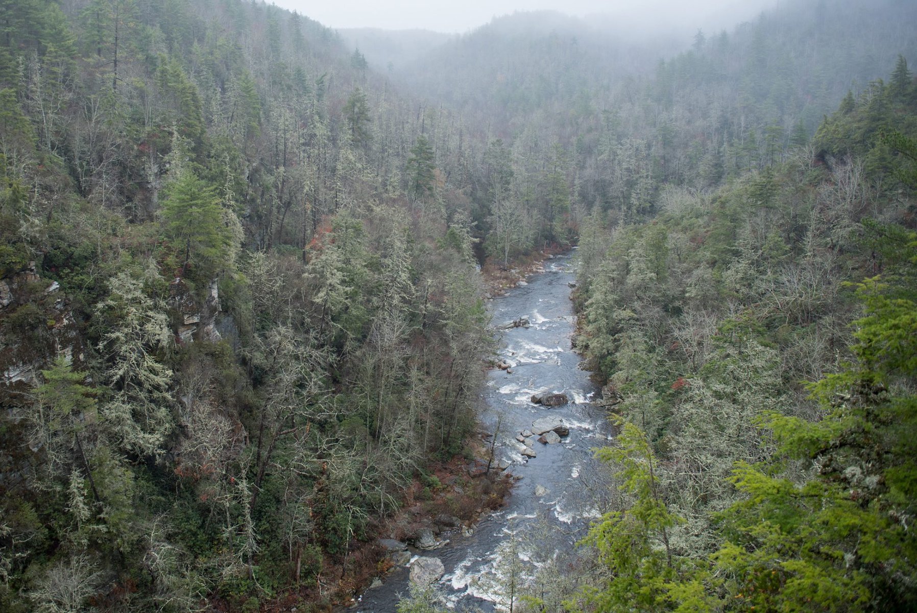 Wonderfully Wet in Western North Carolina