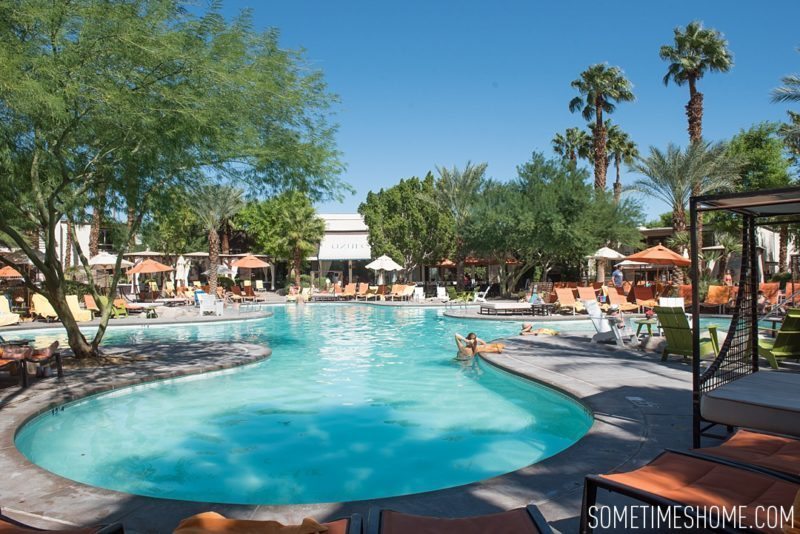 Two days in Palm Springs, California by Sometimes Home travel blog. The Riviera Starwood hotel pool photo.