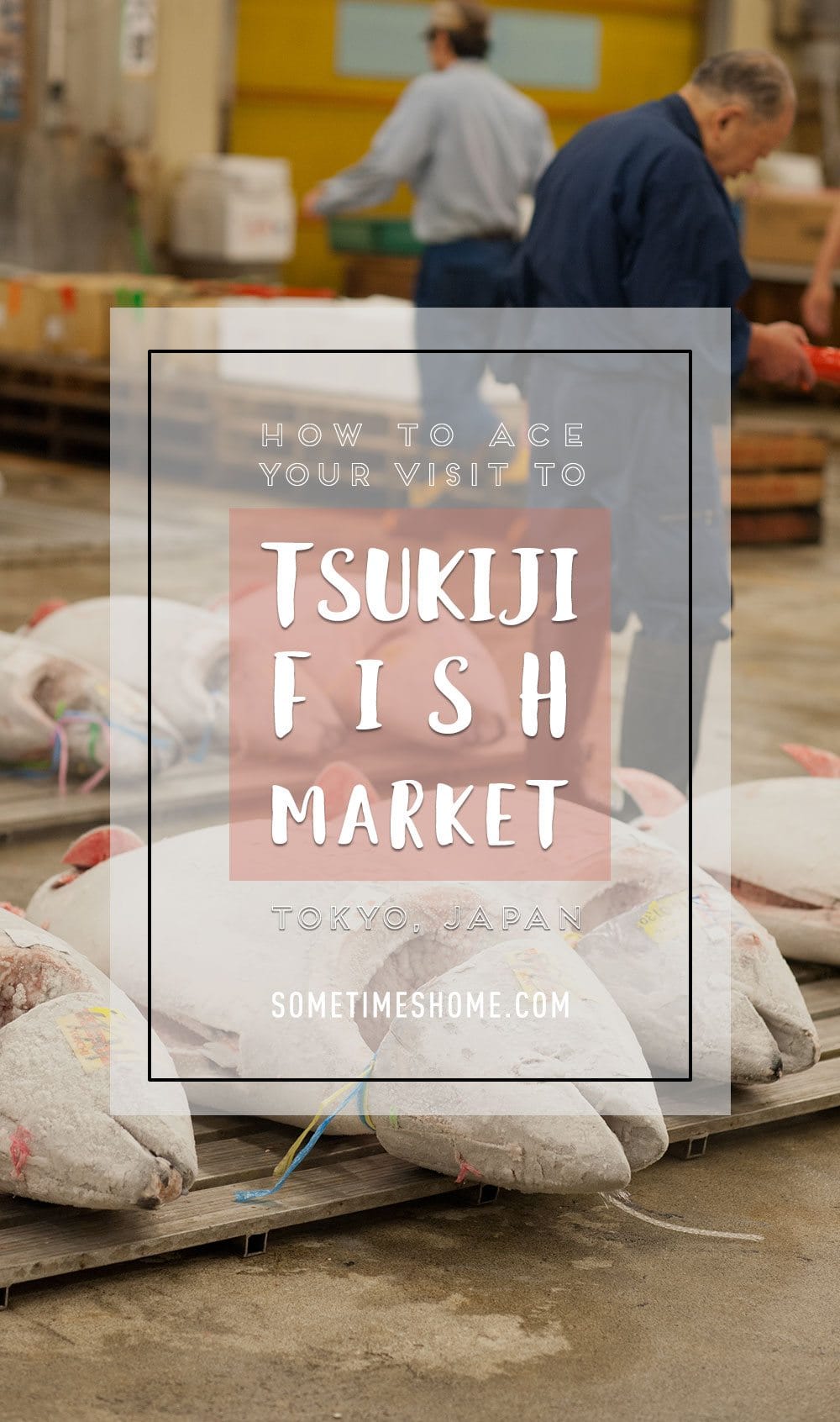 How to ace your visit to Tsukiji Fish Market in Tokyo, Japan on Sometimes Home travel blog. Tuna auction, tips, vendors and visit information with photos.