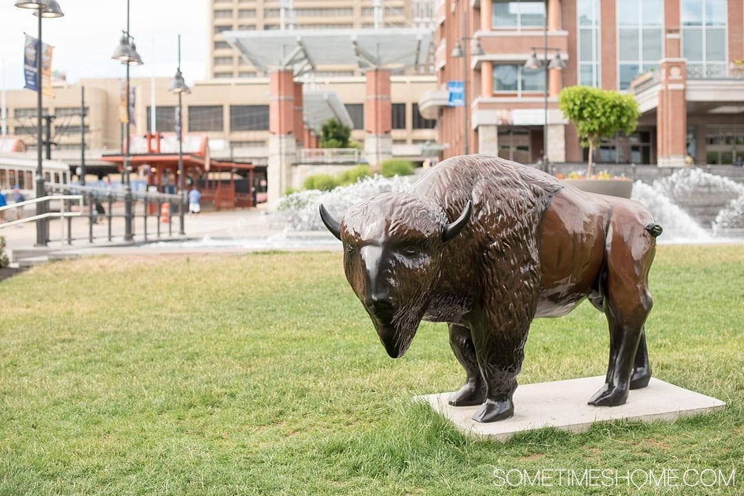 Why a Trip to Buffalo Had Me in Disbelief on Sometimes Home travel blog. Photo of a Buffalo statue in the downtown area of the city near Canalside waterfront.