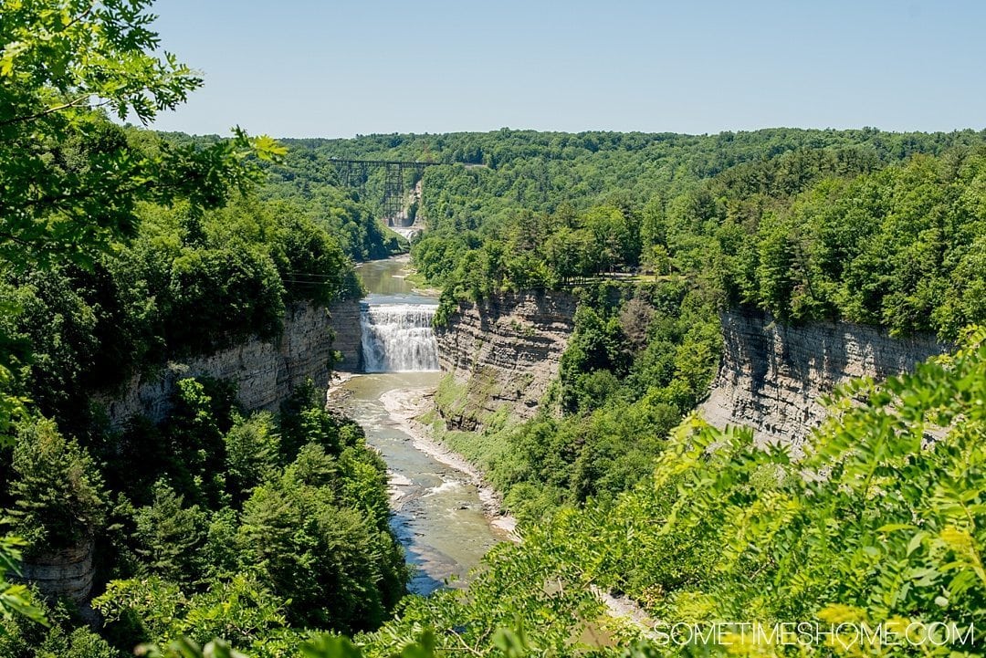 Why a Trip to Buffalo Had Me in Disbelief on Sometimes Home travel blog. Photo of Letchworth State Park, Grand Canyon of the East.