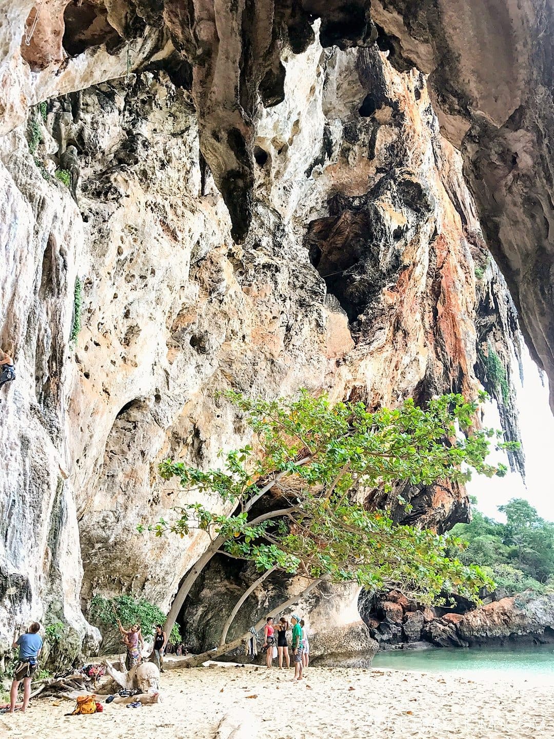 The BEST excursion we did in Thailand was a day rock climbing Phuket with an amazing guide. Our destinations were Krabi and Railay Beach on our day trip itinerary. Our adventure between the islands was a wonderful thing to do on a mid-size budget. Learn about our cost (for solo and couples) and see photography and more on Sometimes Home. #ThailandTravel #PhuketThailand #RailayBeach #KrabiBeach #RockClimbing #ThailandRockClimbing #ThingstodoinPhuket #ThaiBeaches #SoutheastAsiaTrip #RockClimbingThailand