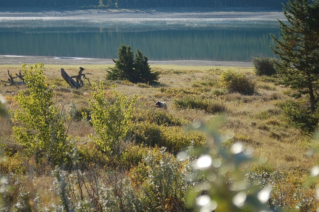 Stellar Summer Destinations Across the Globe on Sometimes Home travel blog, including Glacier National Park in Montana, USA.