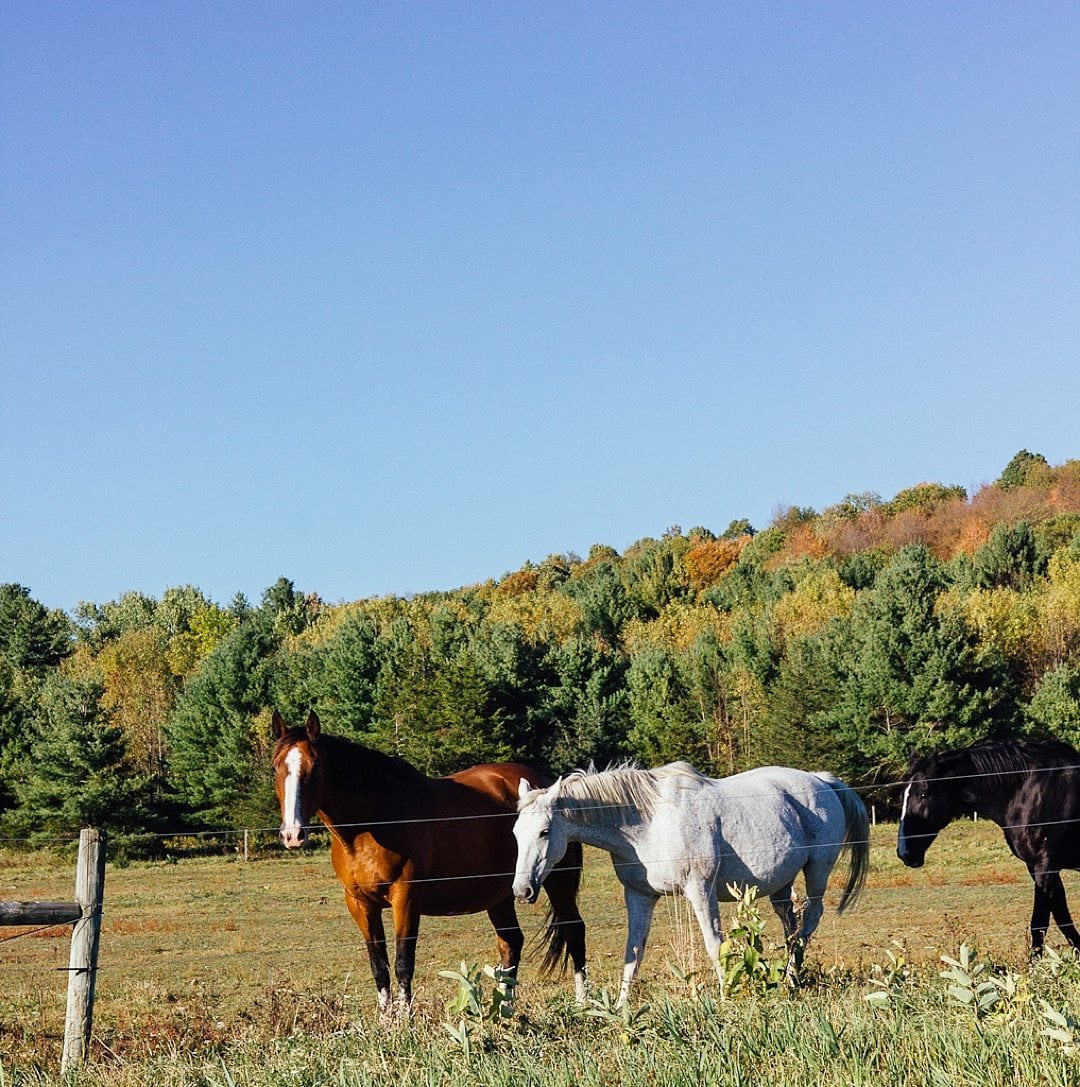 Fantastic Fall Destination Ideas Around the World on Sometimes Home travel blog. Picture of Vermont from Paroma of Year of the Monkey.