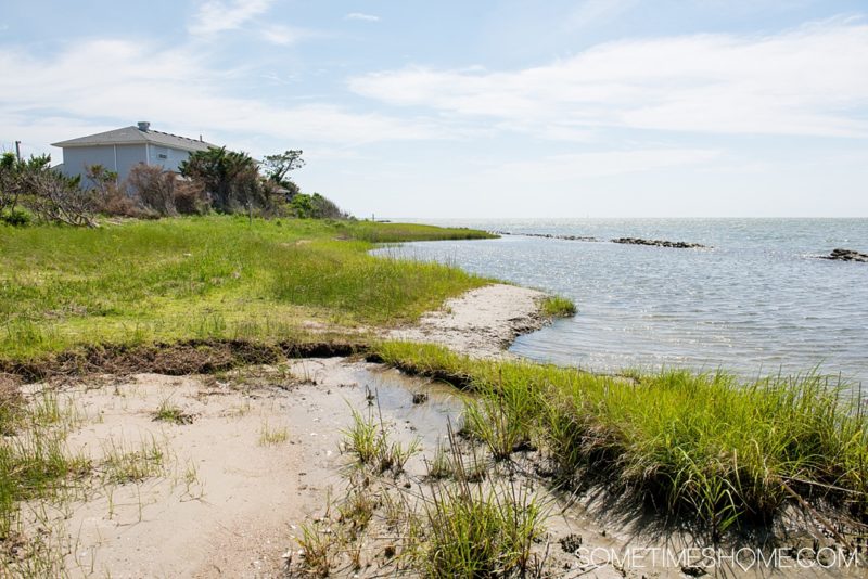 Ocracoke Island in the Outer Banks NC Essential First Visit Guide