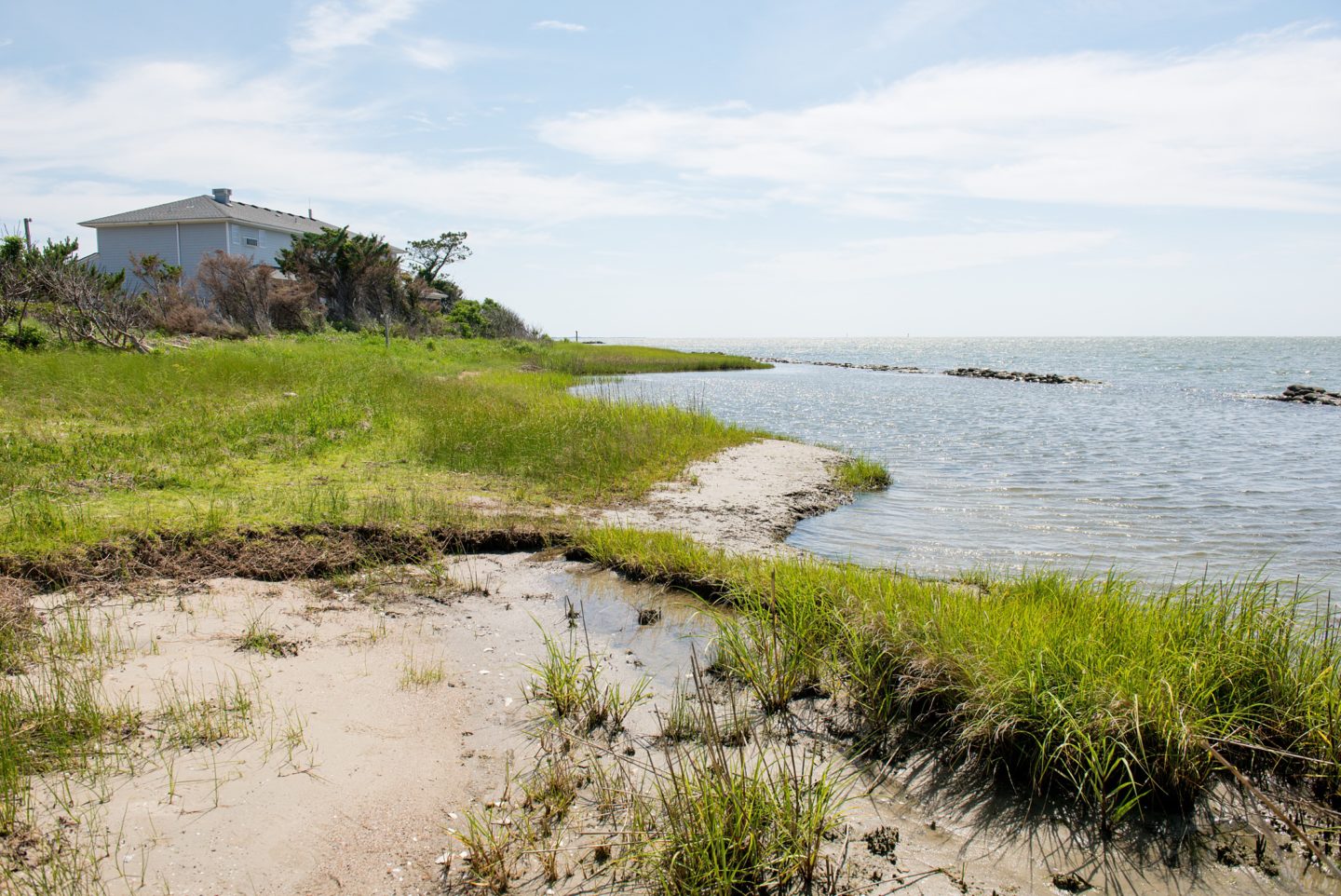 Essential First Visit Guide for Ocracoke Island in the Outer Banks, with a picture of a seashore and sea grass meeting the water and house in the distance.