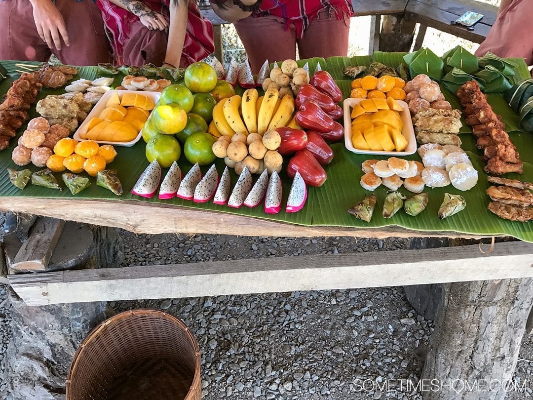 Vital FAQs Answered About Patara Elephant Farm in Chiang Mai. Information by Sometimes Home travel blog. A photo of the lunch of meat, rice and fruit included in the day.