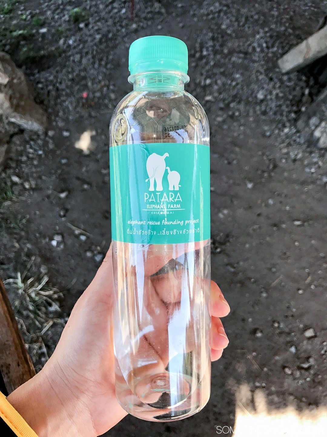 Vital FAQs Answered About Patara Elephant Farm in Chiang Mai. Information by Sometimes Home travel blog. A photo of their custom branded water bottles.