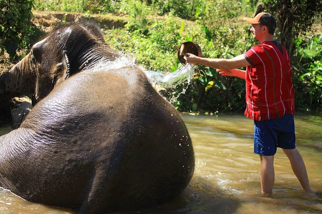 Vital FAQs Answered About Patara Elephant Farm in Chiang Mai. Information by Sometimes Home travel blog. A photo participating in Elephant Owner for a Day including bathing the animals.