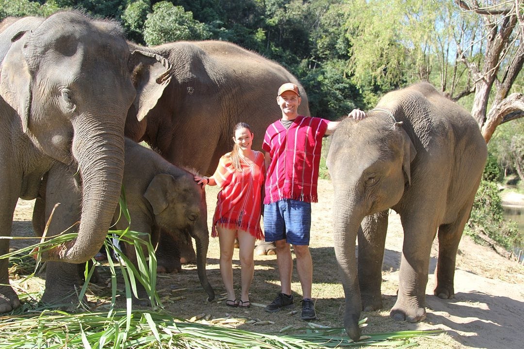 Vital FAQs Answered About Patara Elephant Farm in Chiang Mai. Information by Sometimes Home travel blog. A photo participating in Elephant Owner for a Day.