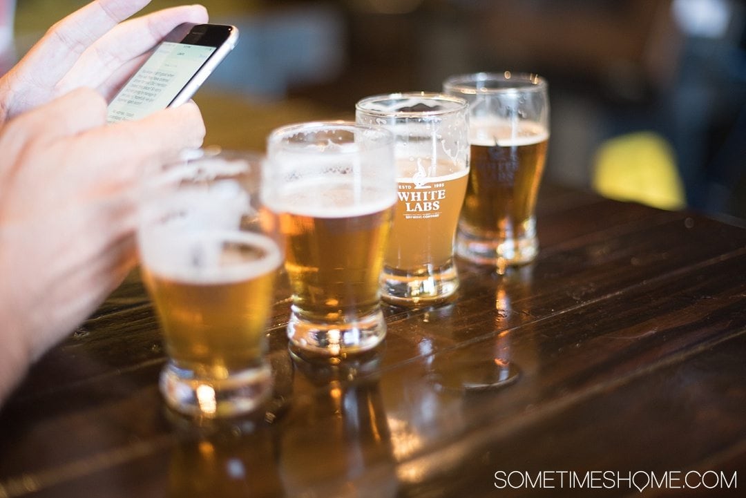 Self Guided Day Tour of the Best Breweries in San Diego on Sometimes Home travel blog. Photo of White Labs.