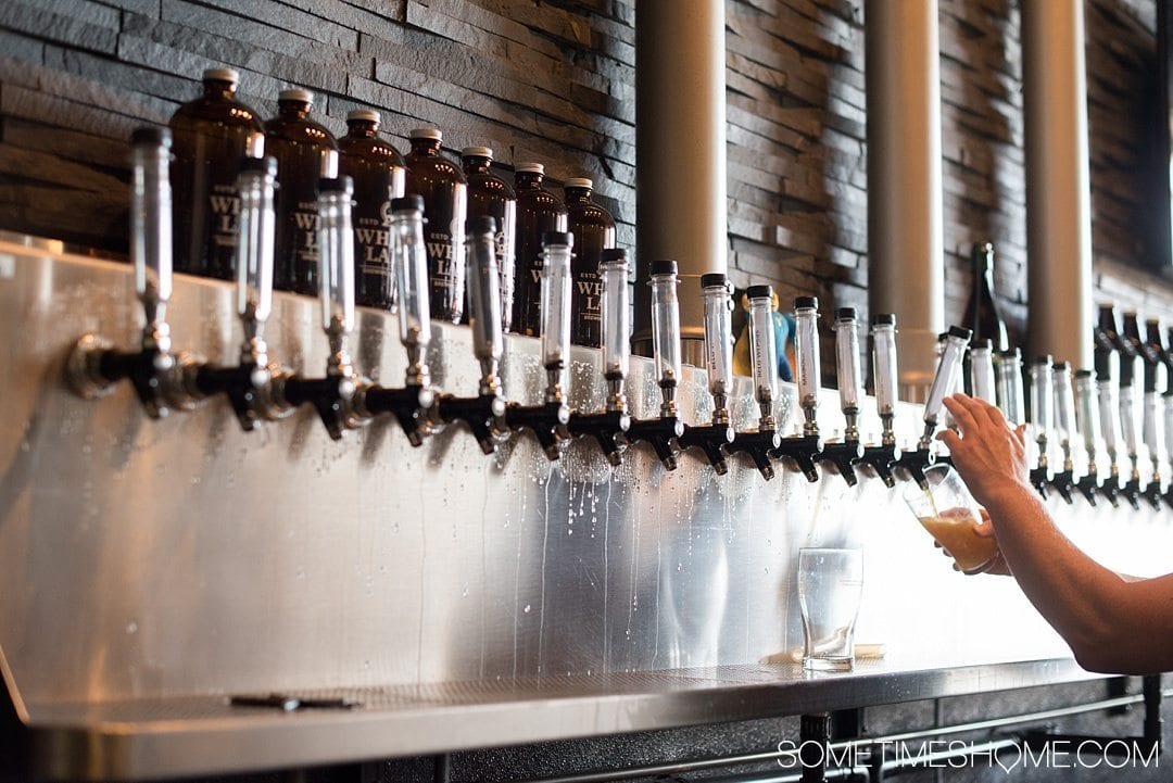 Self Guided Day Tour of the Best Breweries in San Diego on Sometimes Home travel blog. Photo of White Labs.