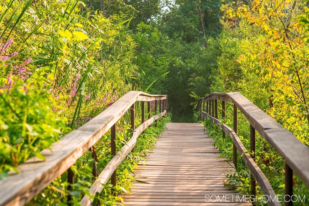 Your Complete Guide to Saugerties, New York on Sometimes Home travel blog. Photo of the bridge on the walk to the Saugerties Lighthouse.