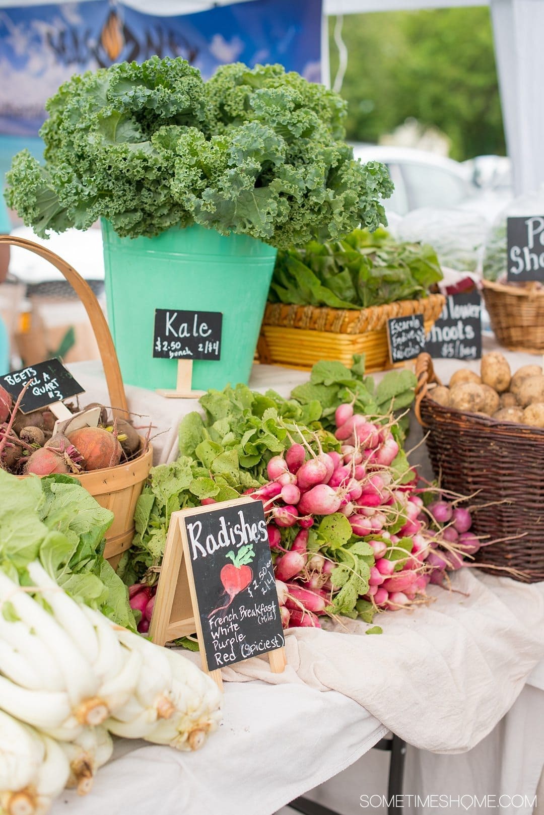 Your Complete Guide to Saugerties, New York on Sometimes Home travel blog. Photo of the farmers market offerings.