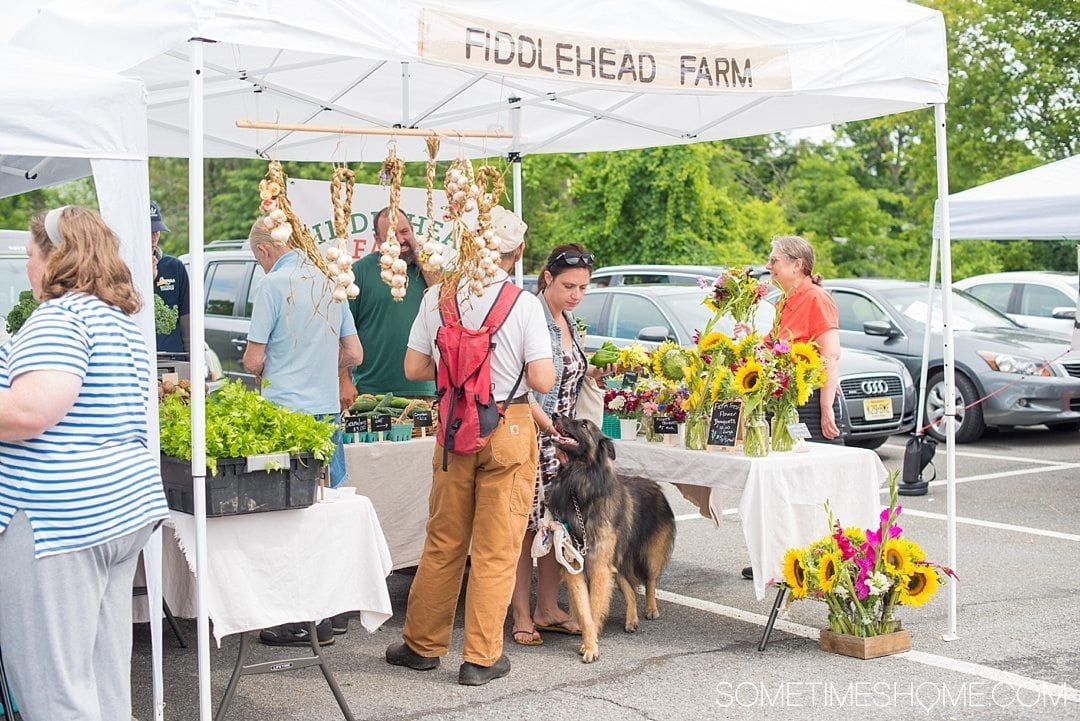 Your Complete Guide to Saugerties, New York on Sometimes Home travel blog. Photo of the farmers market offerings.