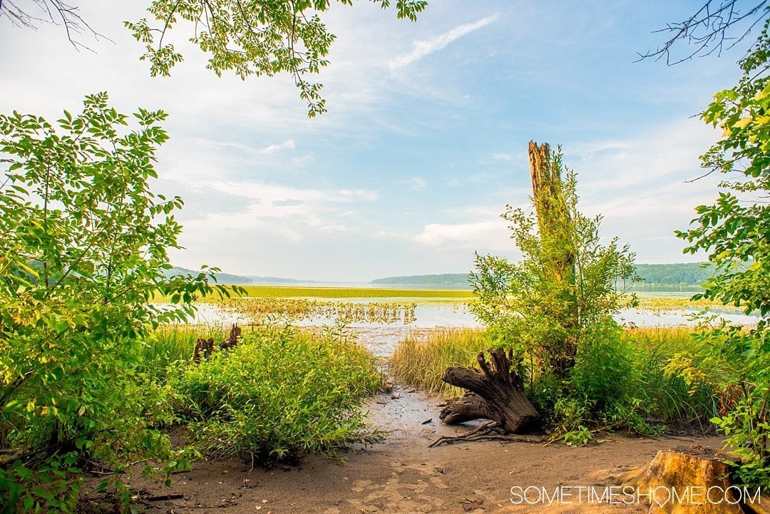 Your Complete Guide to Saugerties, New York on Sometimes Home travel blog. Photo of the view on the walk to the Saugerties Lighthouse.