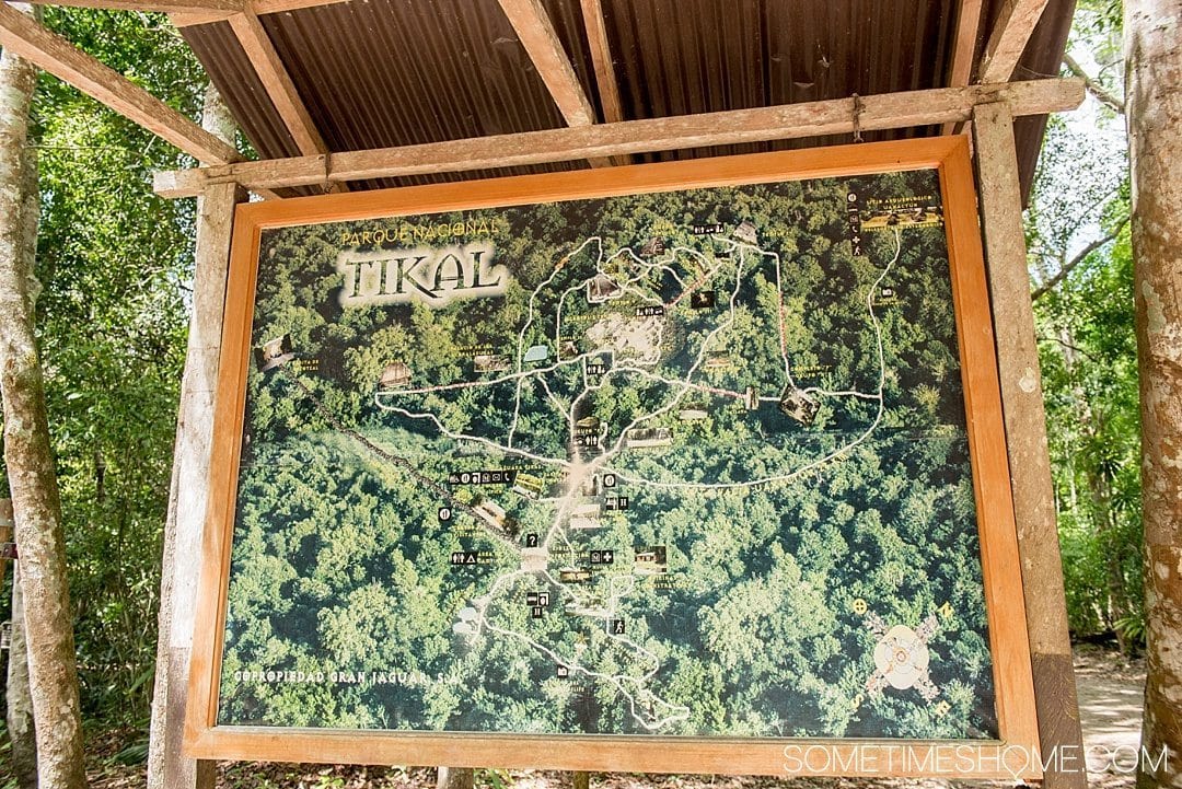 Your Tikal Guatemala Mayan Ruins Adventure Begins Here. Sometimes Home travel post with photos, tips and advice to visit this famous Mayan Ruin site.