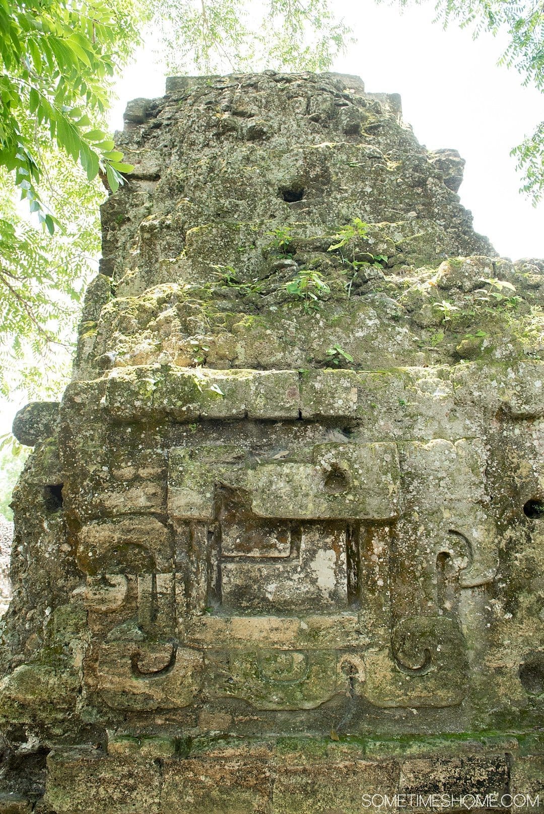 Your Tikal Guatemala Mayan Ruins Adventure Begins Here. Sometimes Home travel post with photos, tips and advice to visit this famous Mayan Ruin site.