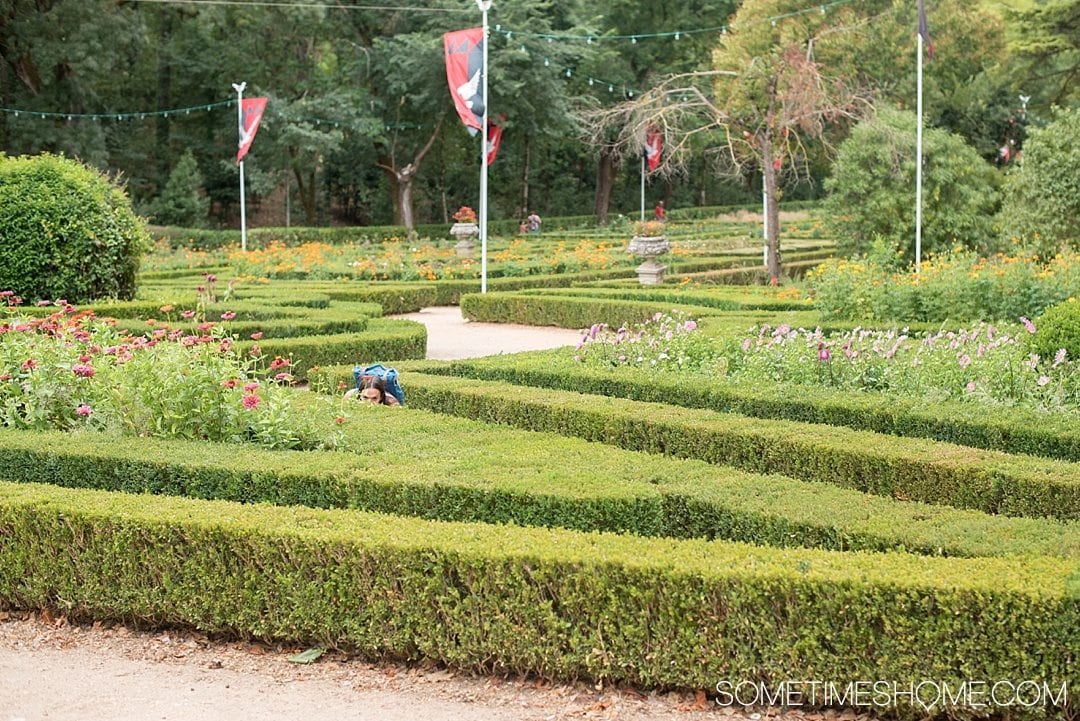 Amazing Day Trip from Lisbon to Tomar Portugal. Photos, tips and advice on Sometimes Home travel blog. Picture of the garden at Mata Nacional dos Sete Montes. 