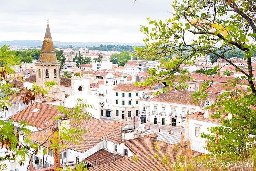 Amazing Day Trip from Lisbon to Tomar Portugal. Photos, tips and advice on Sometimes Home travel blog. Picture of the city view from Mata Nacional dos Sete Montes. 