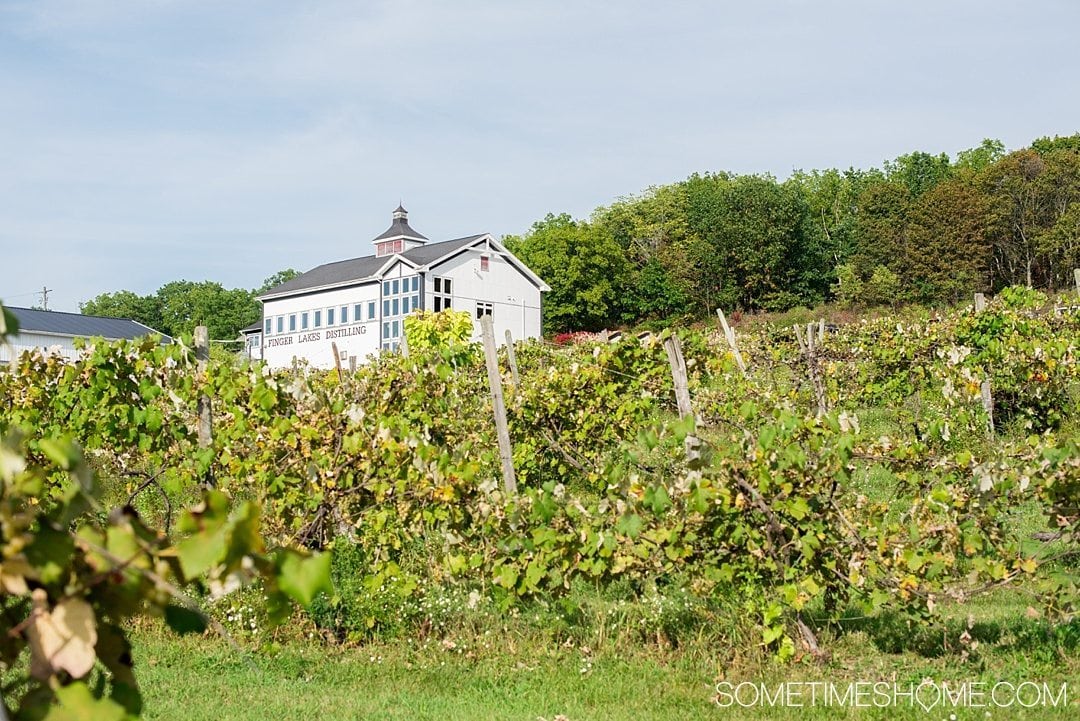 Distillery in the Finger Lakes New York near Wineries on Sometimes Home travel blog. Photo of Finger Lakes Distilling.