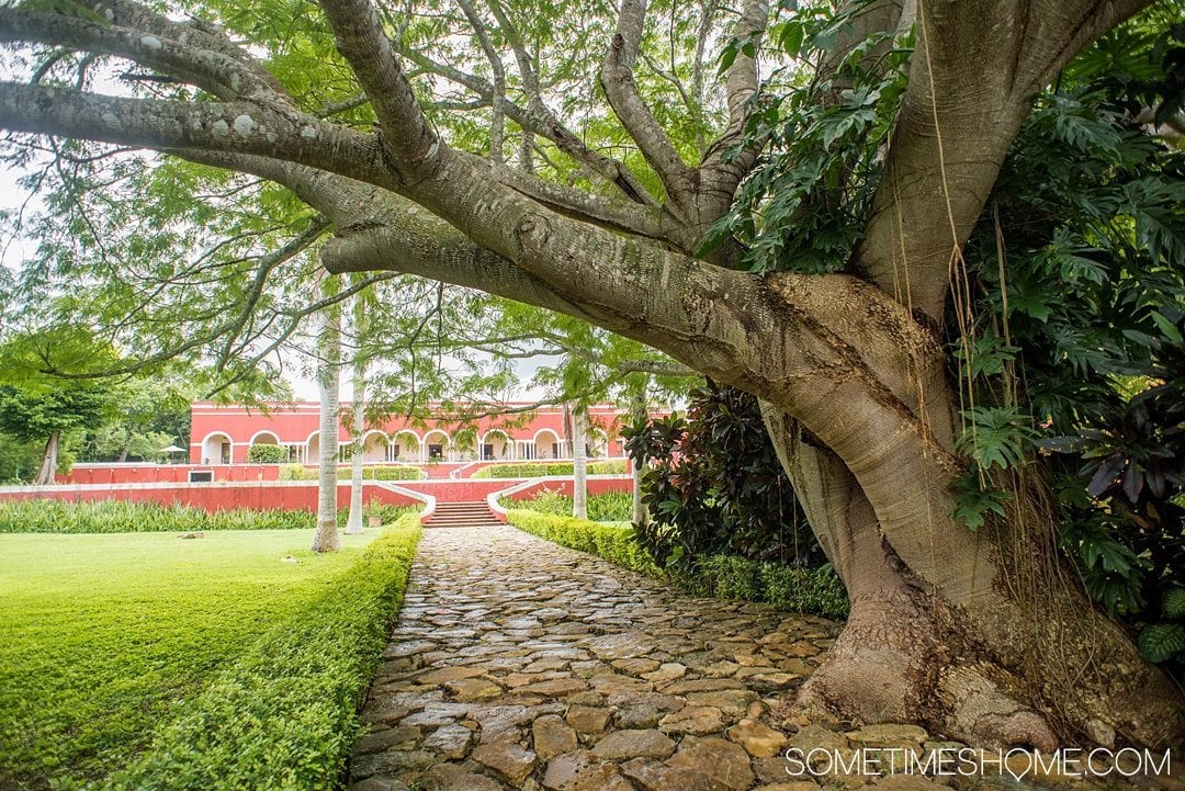 Hacienda Temozon Review and Photos on Sometimes Home travel blog. Pictures of the Starwood brand resort entrance.