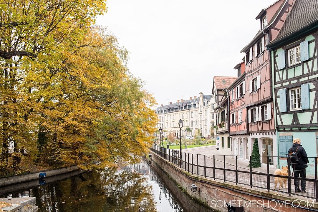 15 Pictures of Colmar France That Will Leave You Booking a Trip