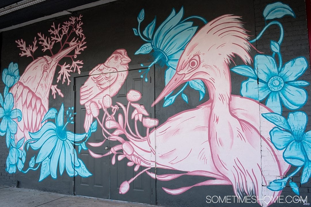 Photography of murals in the city of Tampa Bay, Florida. This is a free activity to partake in and is mostly located in the downtown neighborhood called The Heights. Embark on an adventure to take Instagram worthy pictures as we share where to find the best graffiti art of its kind, like this pink, black and blue bird mural! Click through to read which inspired us most and exactly where they’re located. #TampaBay #TampaFlorida #StreetArt #Murals #Graffiti