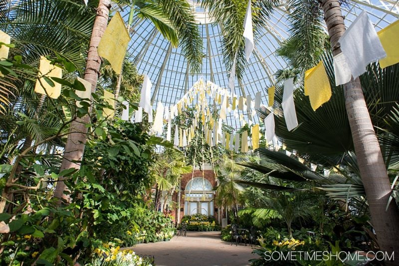 Affordable Warm Activities to do During Winter in Buffalo New York