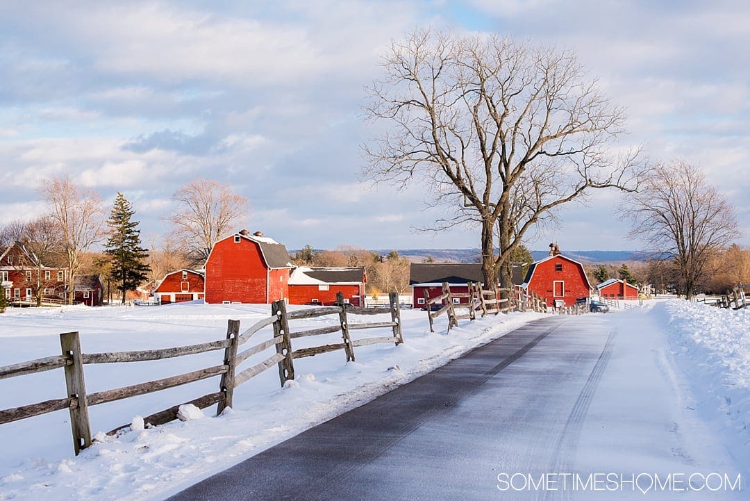 Photos of East Aurora New York will inspire you to visit this town. It's 20 miles outside of Buffalo, NY and is filled with great food, things to do and photography spots, whether along it's Americana Main Street or in the surrounding area. Knox State Farm is a popular place to explore on a weekend getaway. Click through for more on where to eat, play and stay! #TravelBUF #VisitBuffalo #EastAuroraNY #EastAurora #EastAuroraNY #BuffaloNiagara #ArtsandCraftsMovement