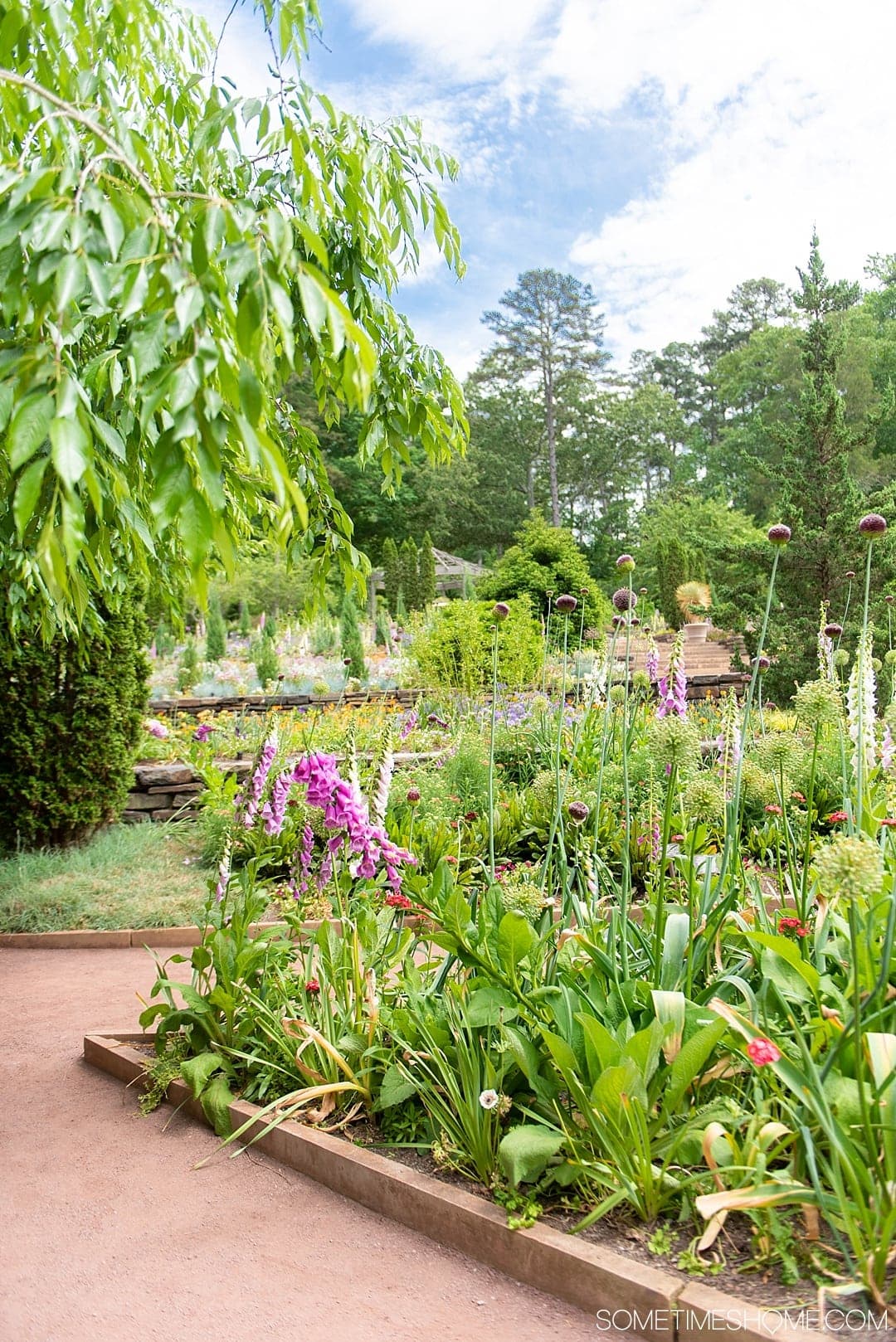 The 12 Best Photography Spots in Durham, North Carolina include art, greenery, a very special part of Duke campus, downtown scenery and more. Click through to read the specifics on this beautiful free entrance garden on Sometimes Home! #DurhamNC #NorthCarolina #DurhamNorthCarolina #Duke #VisitNC #photographyspots #photography