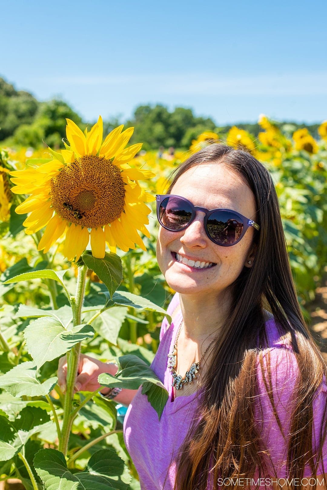 Raleigh sunflowers in North Carolina, with all the information you need to make your visit a success. Sometimes Home travel blog includes things to do at the flower fields near downtown, photos to help you get the most from your travel and summer visit to this beautiful city attraction. Click through for all the information! #RaleighNC #VisitRaleigh #Raleigh #RaleighNorthCaorlina #FlowerFields #Sunflowers #SunflowerFields