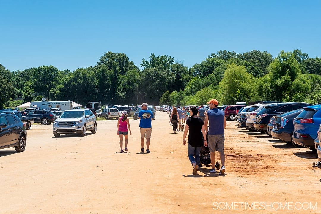 Raleigh sunflowers in North Carolina, with all the information you need to make your visit a success. Sometimes Home travel blog includes things to do at the flower fields near downtown, photos to help you get the most from your travel and summer visit to this beautiful city attraction. Click through for all the information! #RaleighNC #VisitRaleigh #Raleigh #RaleighNorthCaorlina #FlowerFields #Sunflowers #SunflowerFields