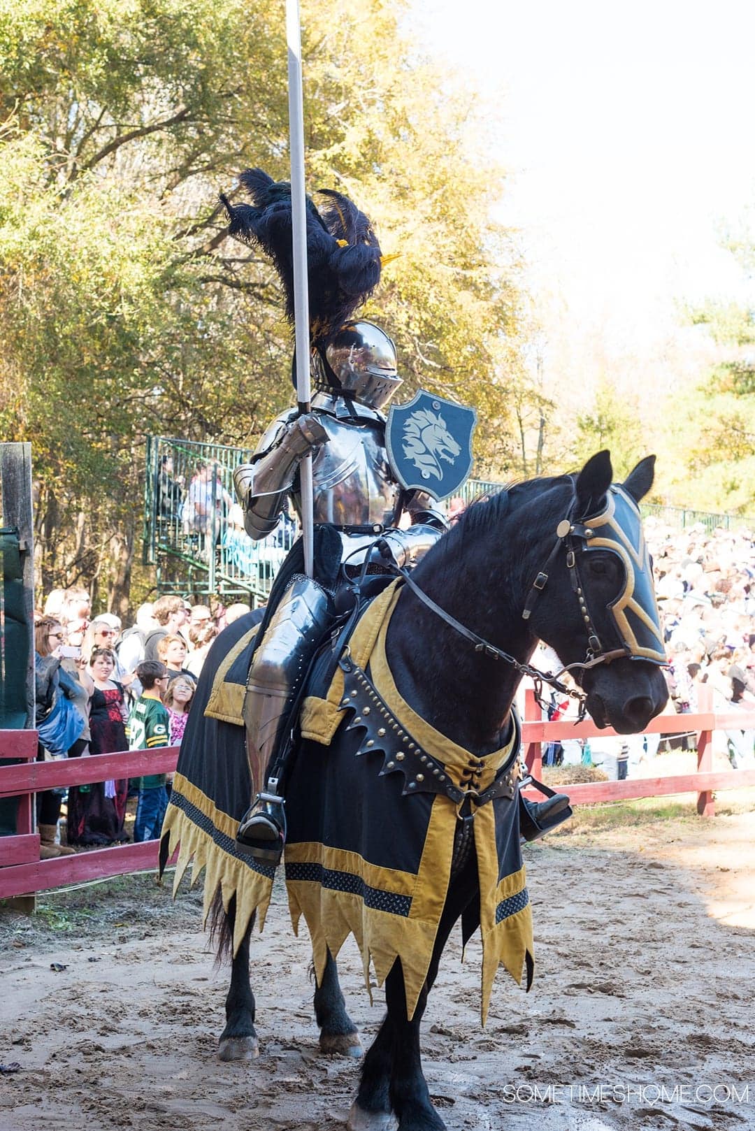 If you love theme parks and themed entertainment you'll love the North Carolina Renaissance Festival, associated with the Arizona location as well. Sometimes Home travel website has insider Q&A and information behind-the-scenes. Click through for pictures of the costumes and sets, food menu, drinks and beer, hairstyles, musicians, art and flower crowns and crafts! #RenaissanceFestival #VisitNC #NorthCarolianRenaissanceFestival #Renaissance #themedentertainment #sometimeshome #jousting