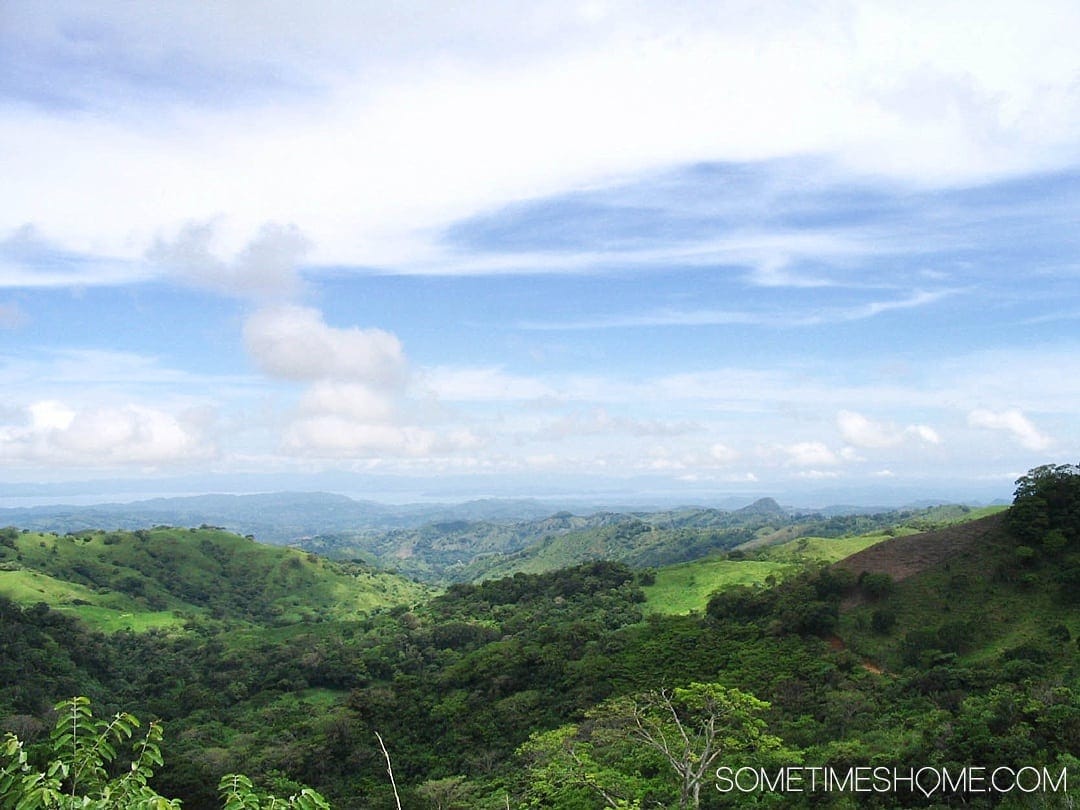 Studying abroad in Monteverde Costa Rica made a reluctant student fall in love with the country. Read about the Monteverde Institute and details of why the cloud forest (and rainforest) area in the northwest of this nation in Central America is the best place to be for ten weeks of studies on Sometimes Home. #CostaRica #Monteverde #StudyAbroad #CloudForest #Rainforest