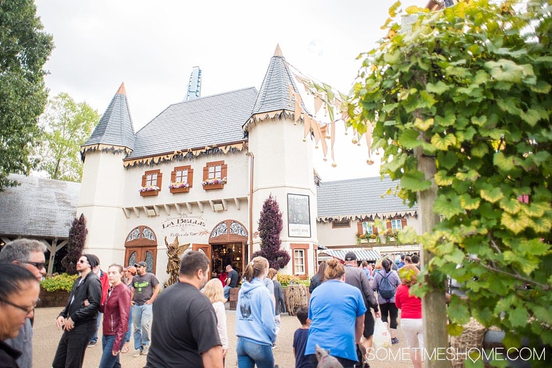 Busch Gardens Williamsburg Attendance Chart