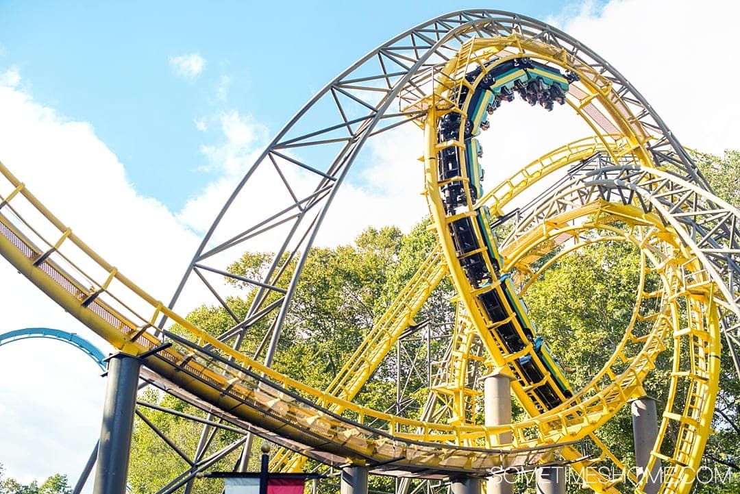 Must-read article on tips for Busch Gardens in Virginia to make the most of your vacation. We dish on what to bring, events for Christmas and Halloween, park hours, pictures of rides, food hacks, and more. This post will give you great ideas to make your trip a success. It's a fun thing to do while visiting Williamsburg, as a family with kids or adults. We have you covered on the best information so click through to read! #BuschGardens #Williamsburg #Virginia #ThemeParks