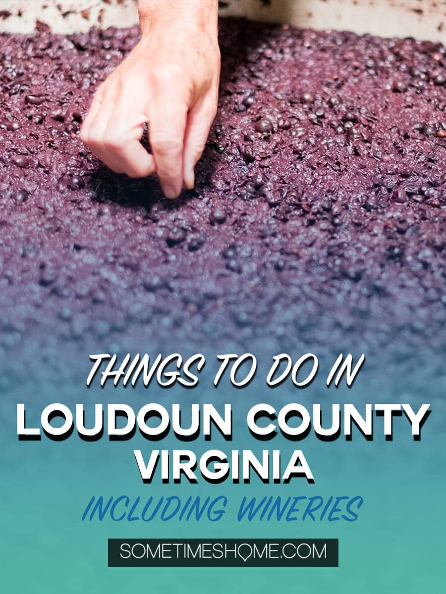 Things to do in Loudoun County, Virginia, including wineries, a hotel and spa and a beautiful picture-worthy historic downtown area in Leesburg. This is a trip incredibly close to Washington DC and may be the perfect getaway, close to home. Our photography will inspire you to travel there asap! Click through for details of where to eat, play and stay! #LoudounCounty #LeesburgVirginia #WashingtonDC #WeekendTrip #LansdowneResortandSpa #Lansdowne #VirginiaWineries #VirginiaWine #SometimesHome