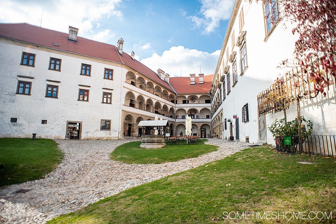 Ptuj Slovenia is a beautiful travel destination for your vacation in Slovenia. Our photography of this centuries old town with roots in the Stone Age, including architecture and nature, will inspire you to stop here on your roadtrip itinerary to see the sites, meet the people and experience the culture. #Sometimesome #Ptuj #Slovenia