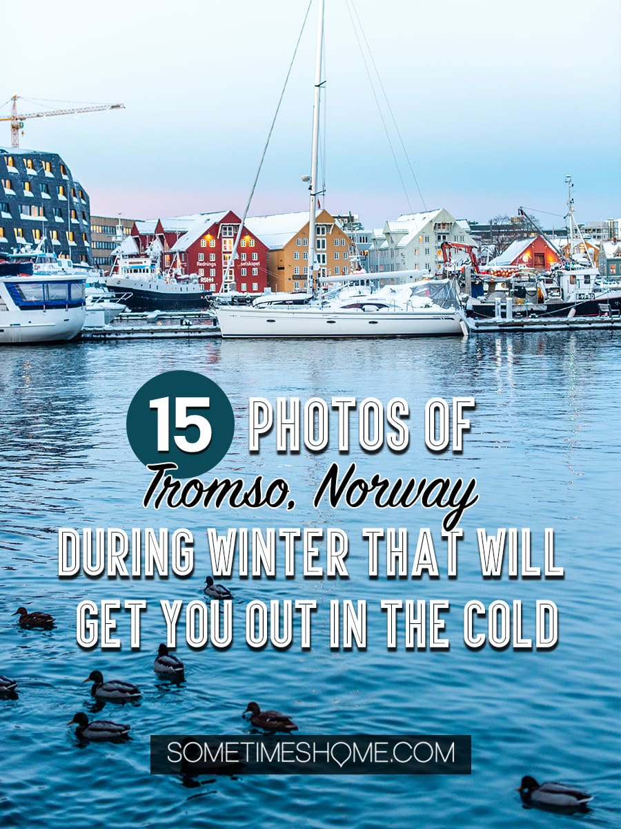 Tromso winter photos that will inspire you to travel to northern Norway during January or February. See bucket list things like Aurora Borealis (the Northern Lights), or participate in tours and things to do like feeding reindeer and taking a beautiful sleigh ride in the snow. #northernlights #sometimeshome #auroraborealis #reindeerfeeding #sleighride #tromsonorway #norway #tromsoinfebruary #tromsonorwayphotography